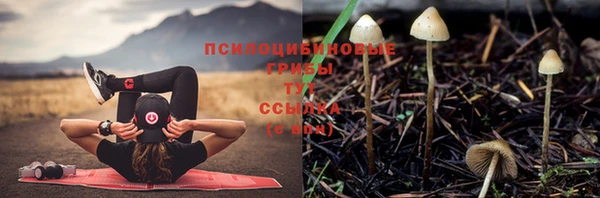 дурь Баксан